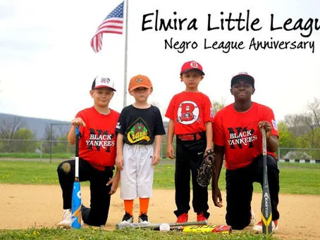 Elmira Little League: Back to the Future