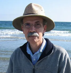 Retired teacher finds success in second career, as a mystery novelist