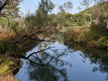 Beauty surrounds historic Spencer park