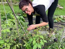 MAKE WEEDS YOUR FRIEND THIS SUMMER WITH COMPOST TEA