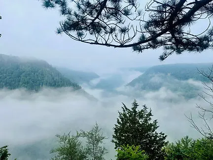 View from Barbour Rock Pine Creek Gorge Natural area.Spring 2023.Photo provided by Melanie