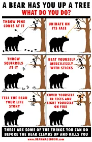 Yes, bears do poop in the woods, and you will too if you meet one and piss it off