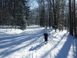 Outdoors: Cross-country close call