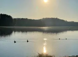 Serenity at Hills Creek State Park.PA.MWood.11-2023