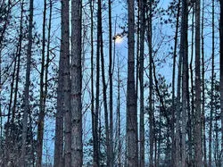 Christmas Moon.Photo by Melanie Wood.12-2023