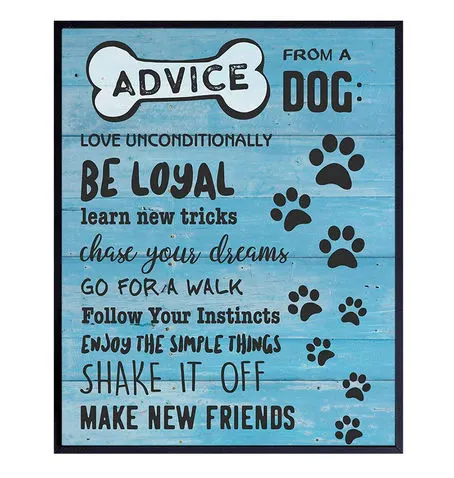 Dogs unleash their advice on life